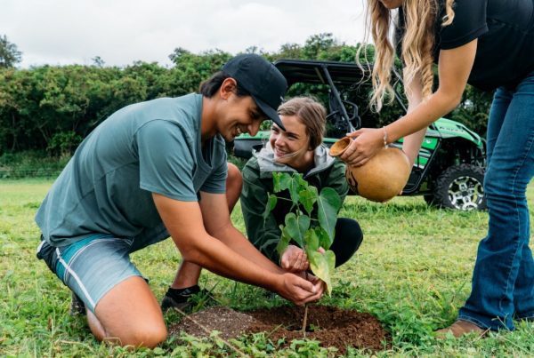 This image portrays Plant a Tree for your Graduate! by Gunstock Ranch.