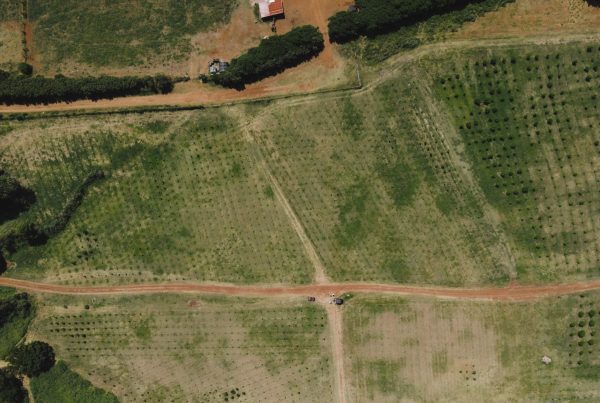 This image portrays 3 Sustainable Practices on the Ranch by Gunstock Ranch.