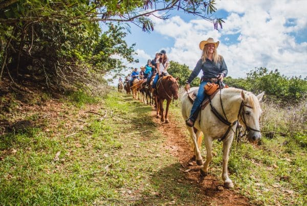 This image portrays Hawaii’s History on Horseback: Exploring Trails with a Story by Gunstock Ranch.