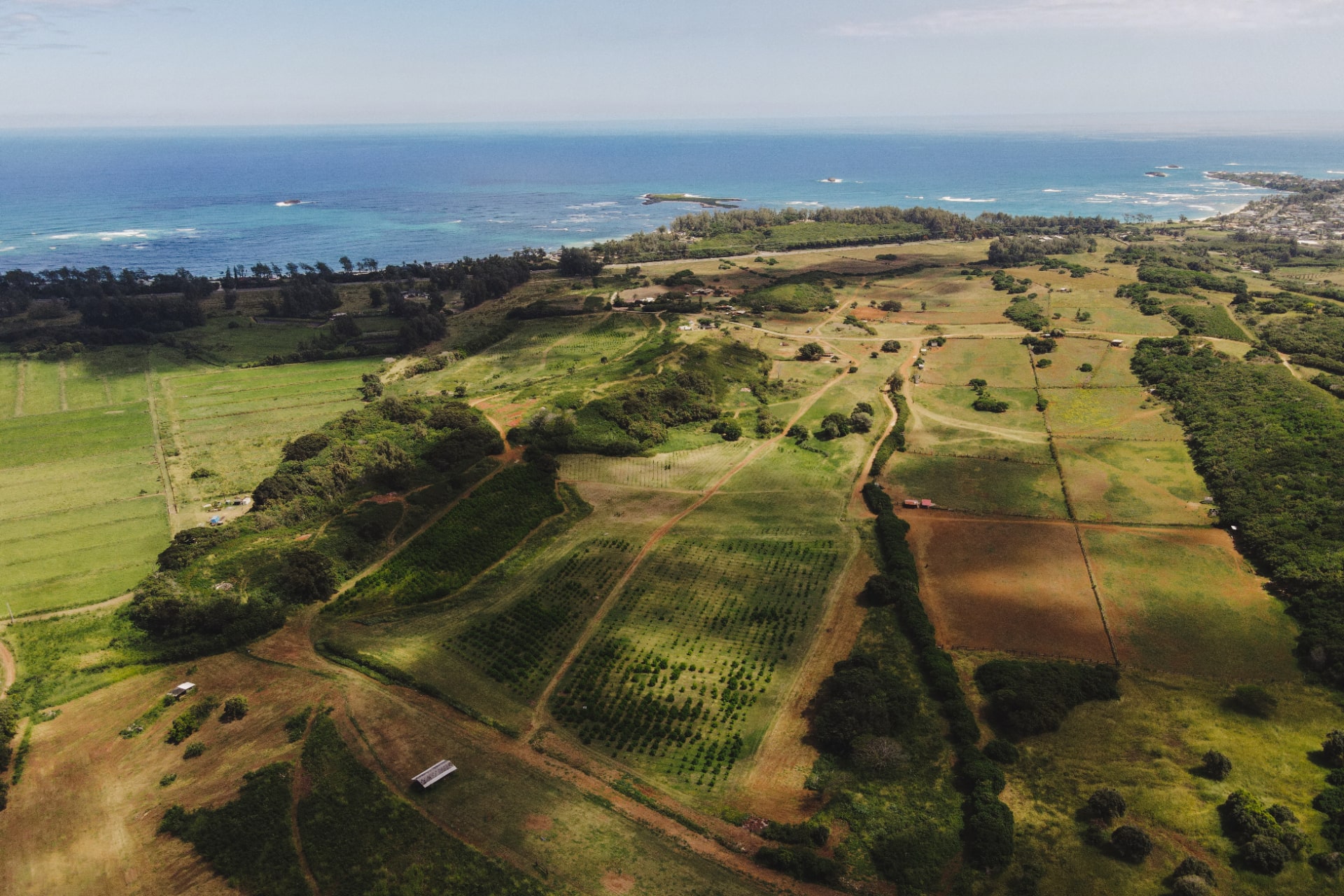 Best Adventure Tours in Hawaii: Top 5 Must-Try Experiences