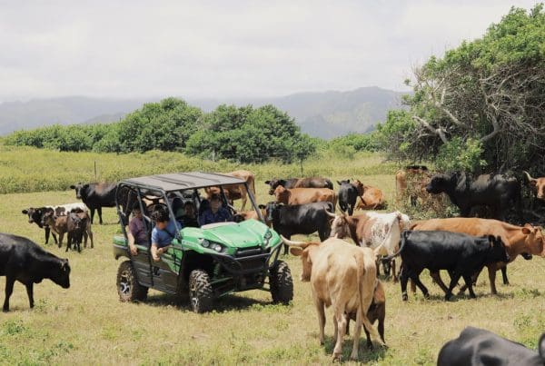 This image is by Gunstock Ranch.