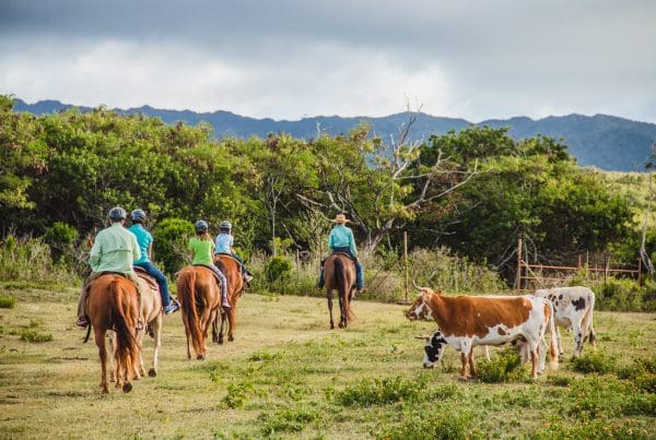 This image is by Gunstock Ranch.