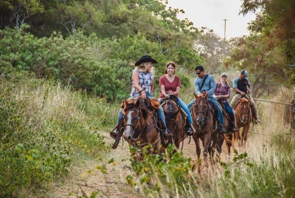 This image is by Gunstock Ranch.